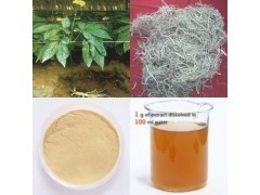 人參提取物_商城_西安天瑞生物技術(shù)供應(yīng)部會(huì)員商鋪-中國貿(mào)易網(wǎng)-會(huì)員網(wǎng)站