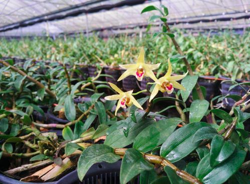 快看看你的抗初老護(hù)膚品里有沒有這些必備成分