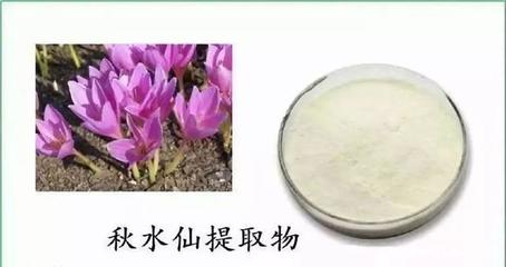 用西瓜給汽車加油