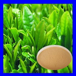 紅茶茶多酚 價(jià)格、型號規(guī)格與植物提取物特性詳解
