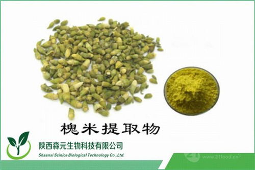 槐米提取物 純天然植物提取物價(jià)格解析與廠家直供優(yōu)勢