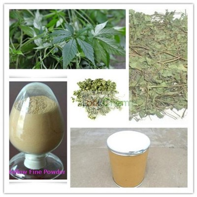 絞股藍提取物 探索絞股藍總皂苷的多樣規格與應用潛力